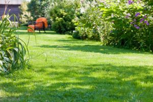 travaux jardin et paysage Bratte